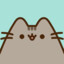 Anaxs ★ Pusheen