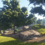 Moss Mountain's avatar