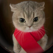 不良斯克大列巴