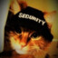 SECURITY CAT
