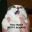 you.make.kitty.scared