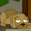 perro sarnoso