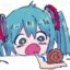 miku enjoyer