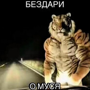 самоеб avatar