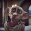 -dobby