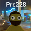 Pro228