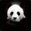 Panda_love_me