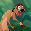 Timon