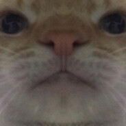 kot