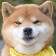 赵赵老师头很大vin