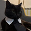 MR. BUSINESS
