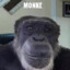 Monke