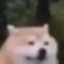 Shibei