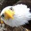 StealthyEagle