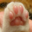 minixips