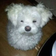 中翻糕手，没有快翻就不吃刀的意思