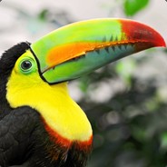 Toucan - steam id 76561197971101814