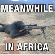 In Afrika🐵