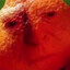 Fwedqik's avatar