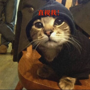 考上清华的玩家