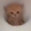 э's avatar