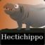 HecticHippo