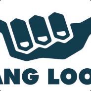 LIDZ HANGLOOSE - steam id 76561197961189455