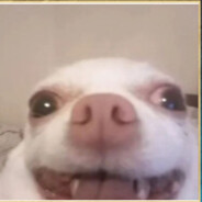 Ronti - steam id 76561198328030921