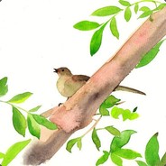 你以为你以为就是你以为的？