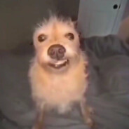 под3aлyпная шмаль