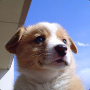 Nachi