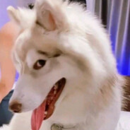 ВОДИТЕЛЬ ПО ГУБАМ