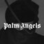 Palm Angel