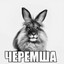 древесный лук