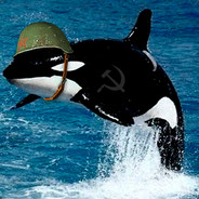 Soldado Free Willy