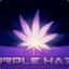 PURPLE HAZE