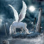 ♥ Pegasus ♥