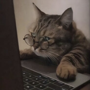 妹妹的丝袜我泡水喝了