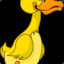 blinkingduck