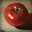 tomato8544