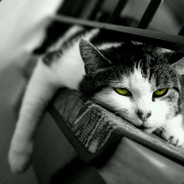 Big Avatar