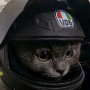 骑小摩托的煎饼猫