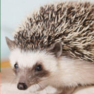 アクアザ  |  aquaza