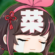 风灵月影宗大弟子