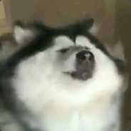 Cien años de soledad