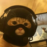 Terrorist_Cat
