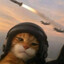 Pilotcat