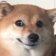 我尿得很高 以为能挡住脸上的眼泪