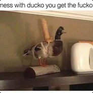 IDontGiveADuck avatar