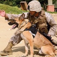 =7Cav=SSG.Remeslnik.F